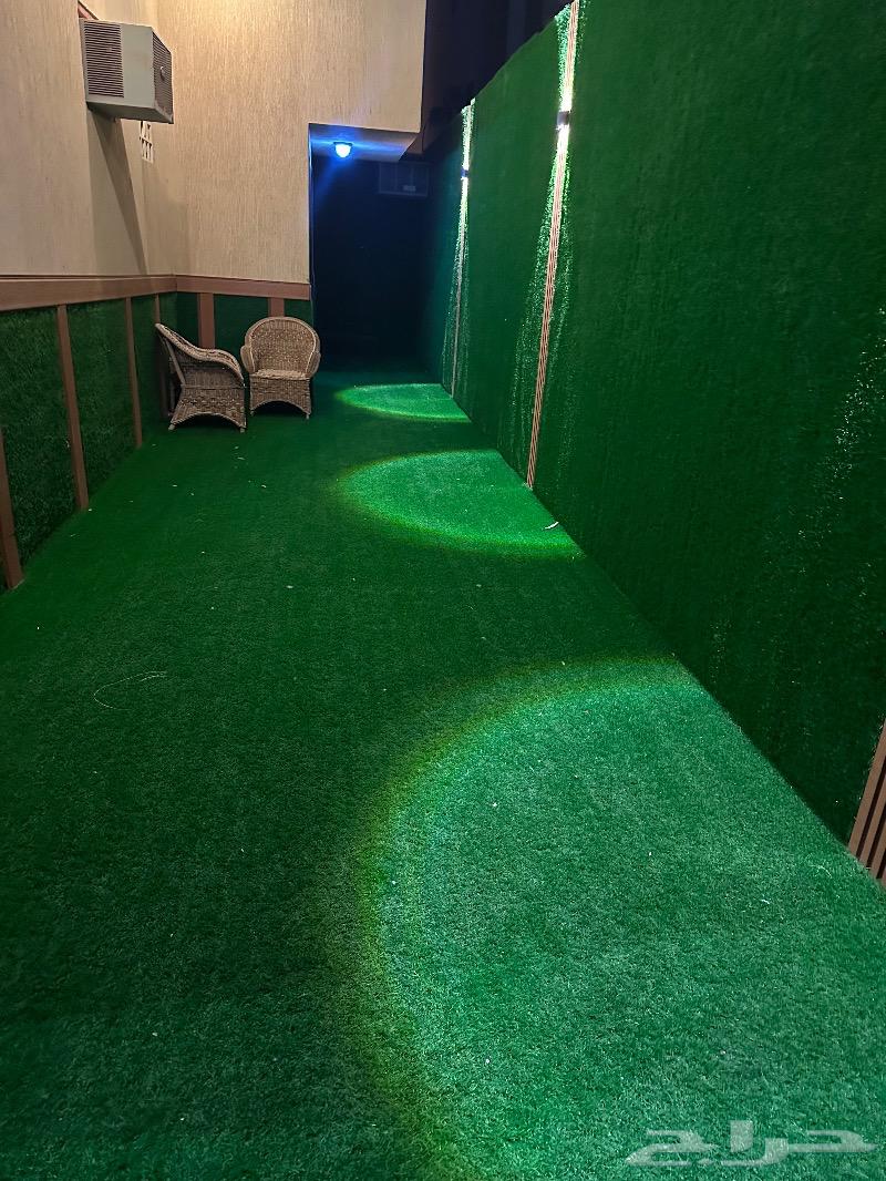 شقة للإيجار