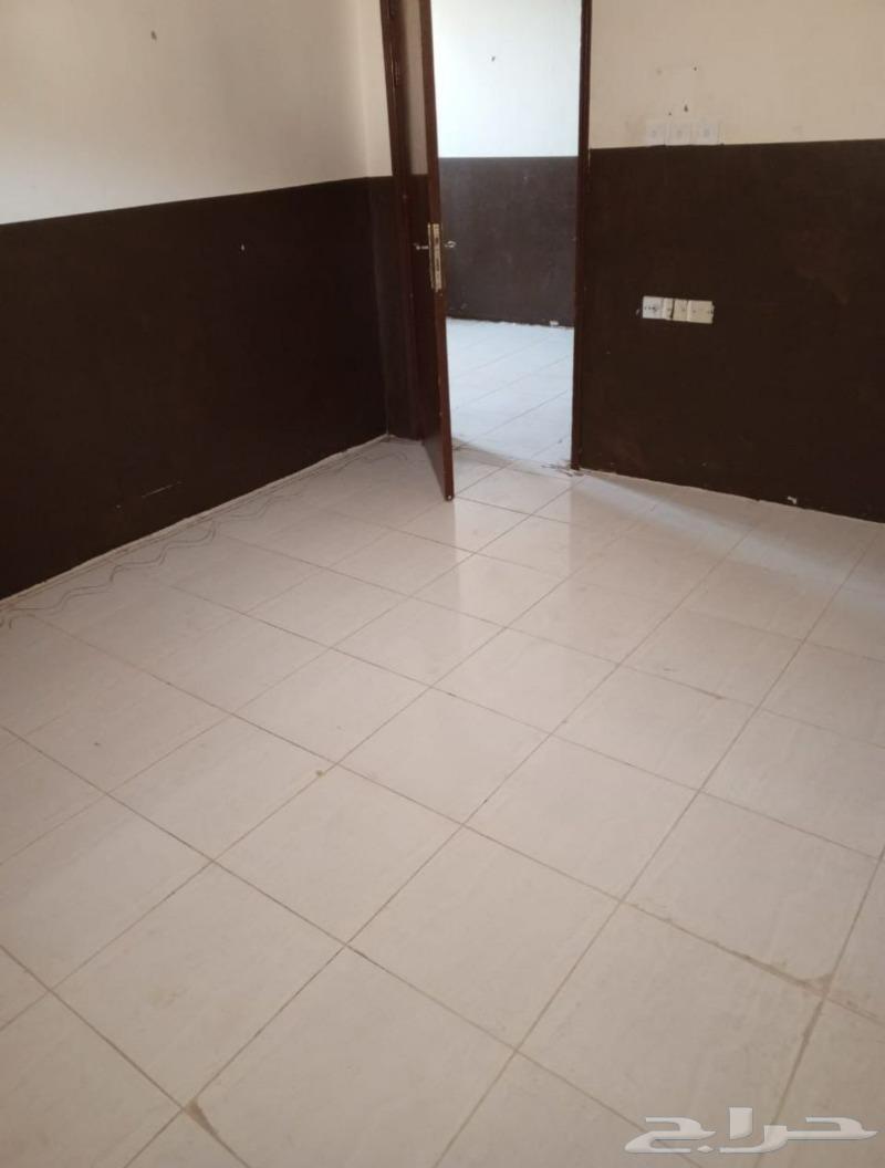 شقة للإيجار