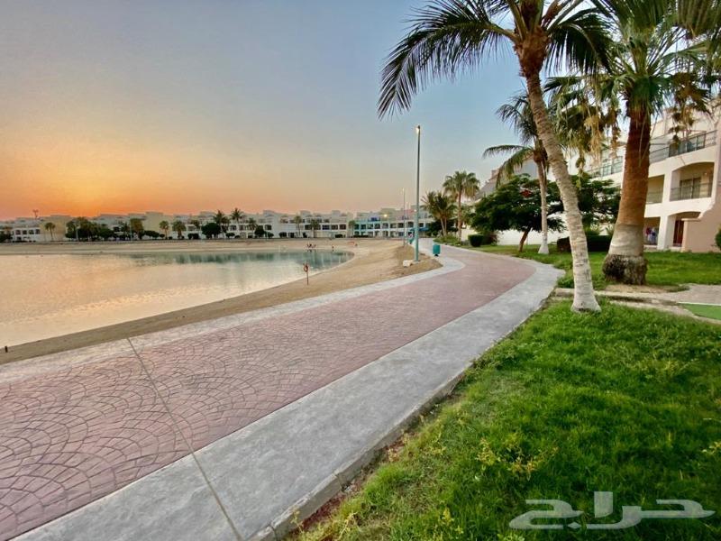 شقة للإيجار