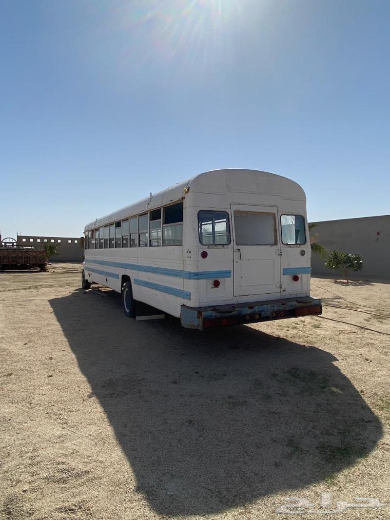 Bus suitable for halal catering63616281924865113