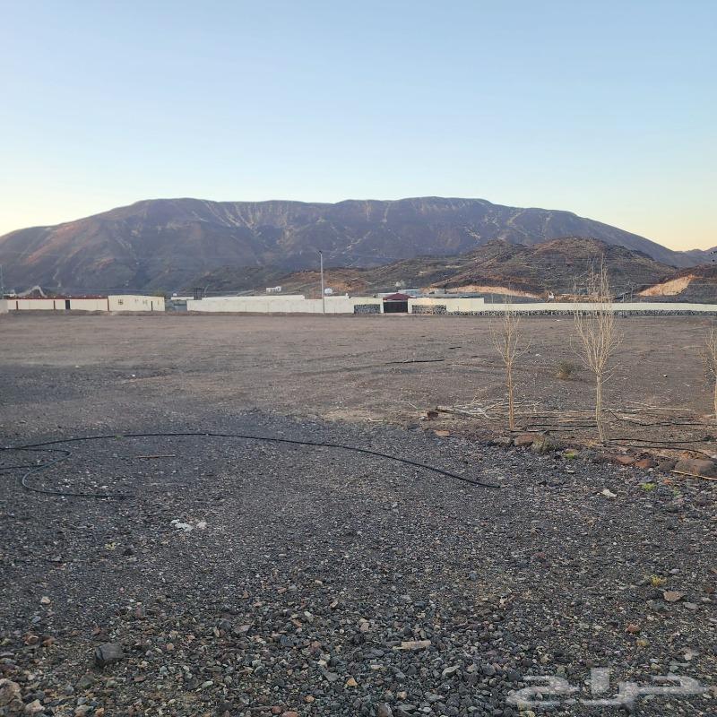 Agricultural land for sale near industrial cities63005907758337112