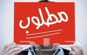 Car wash needed in Taif63438384780673110