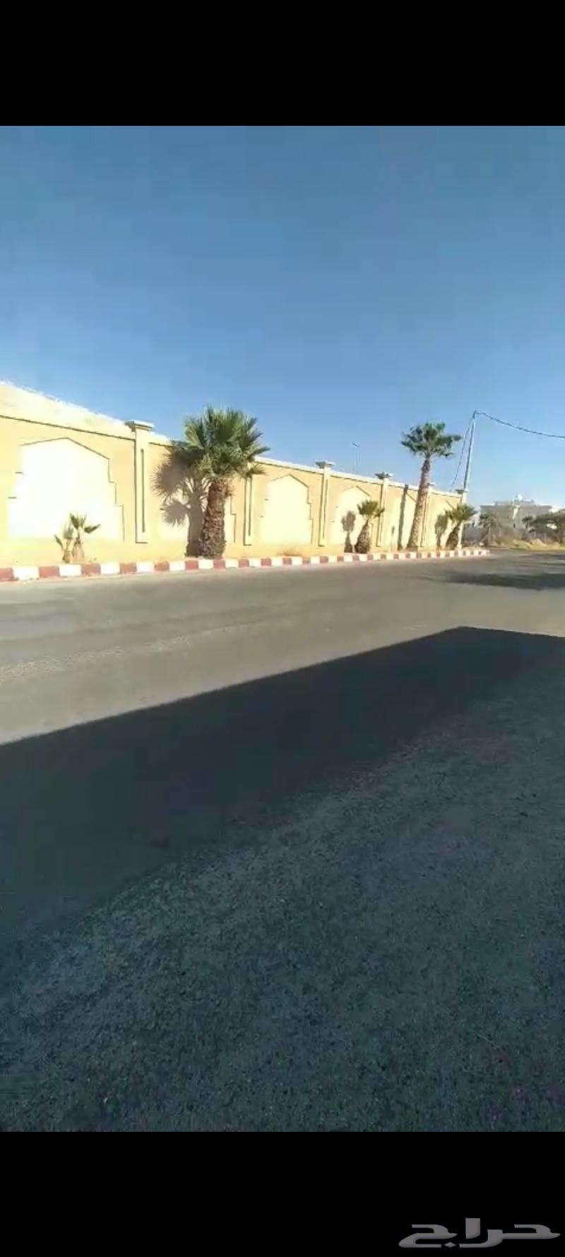 استراحه مميزه للاستثمار خميس مشيط63470053238274111