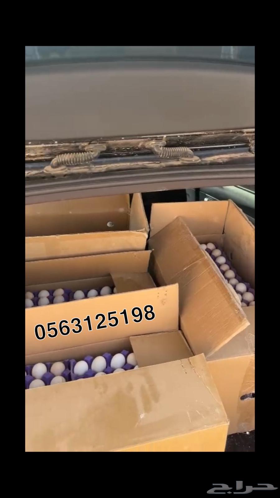 Daily collected, fertile local eggs63324748966530112