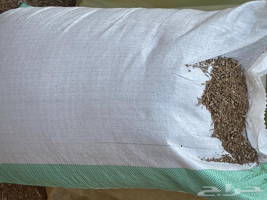 Mixed wheat for sale633244149468191128
