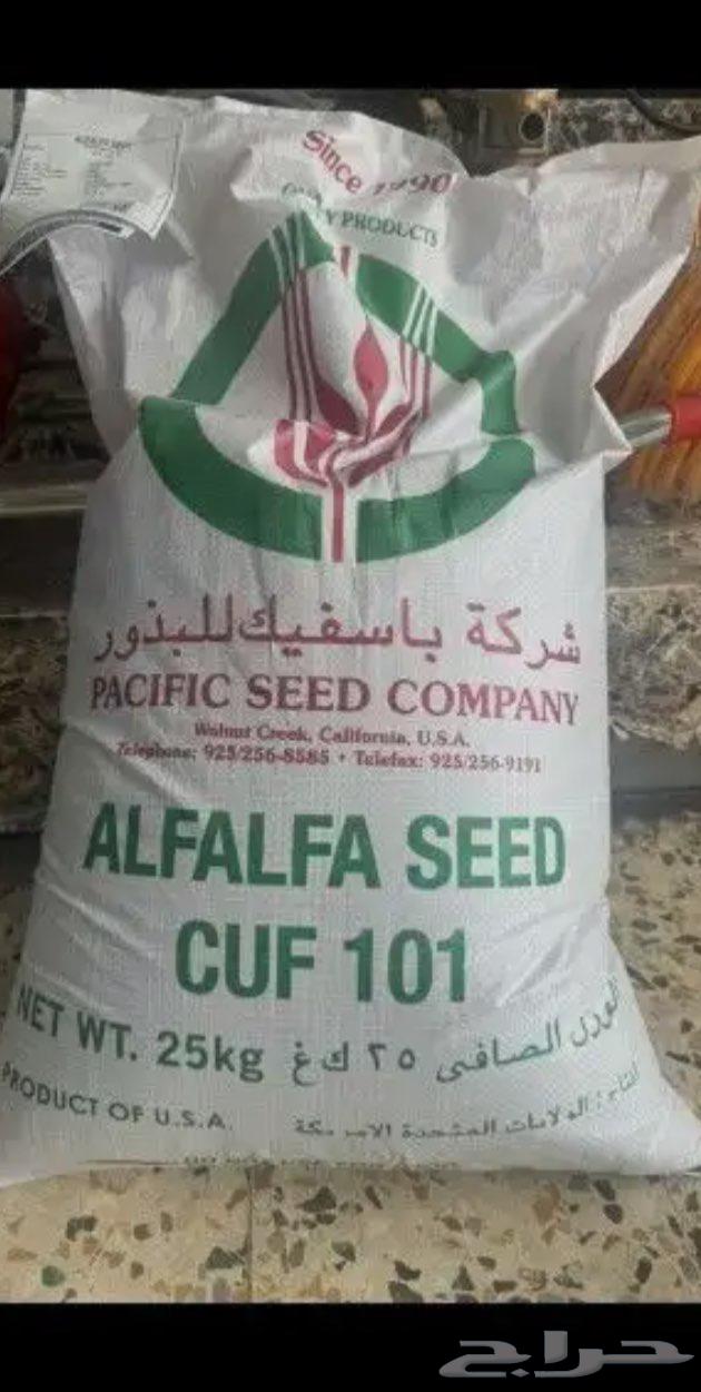 بذار برسيم امريكي كاف 10163314463820803110
