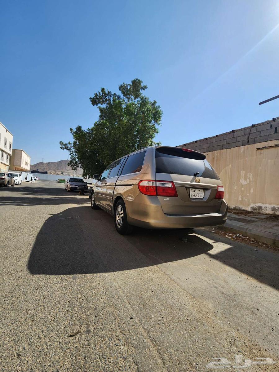 هوندا اوديسي 2005 للبيع63616769878273112
