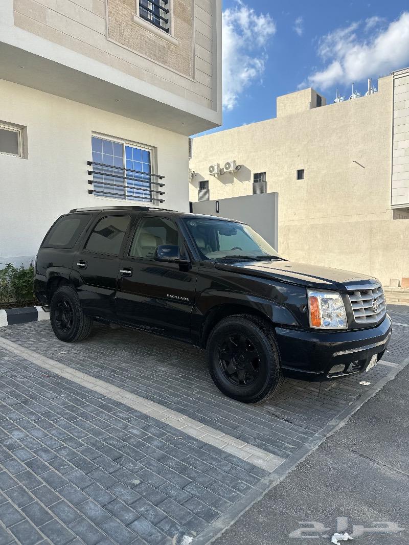 اسكاليد بلوحة مميزة63616921426305113