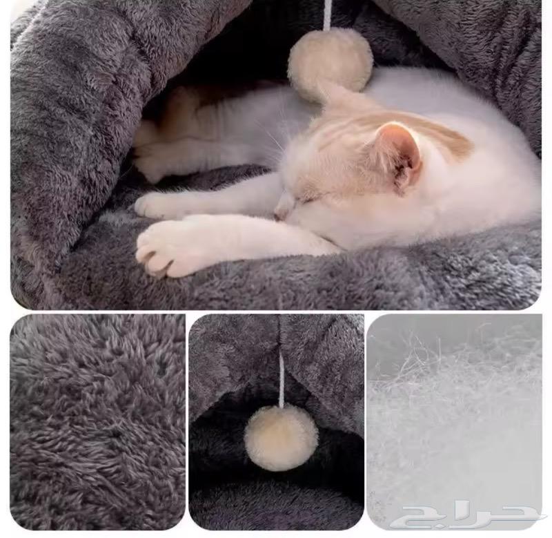 Cat Houses, Cat Hut, Catnip, Dry Food, Cat Litter63615706140674114