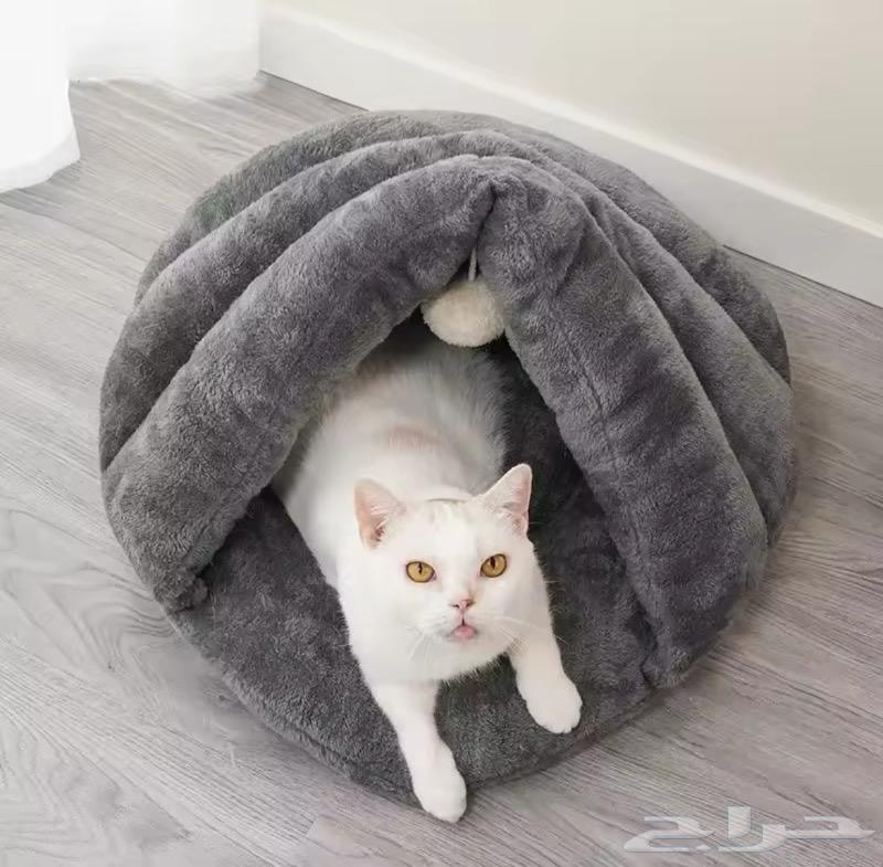 Cat Houses, Cat Hut, Catnip, Dry Food, Cat Litter63615706140674113