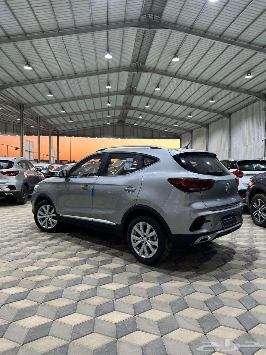 MG ZS STANDER Model 202463617256344706113