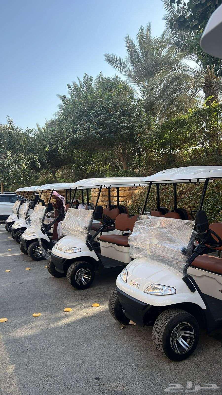Golf Cart for 2 to 8 Passengers - Sale, Rental, Maintenance63617412624769114