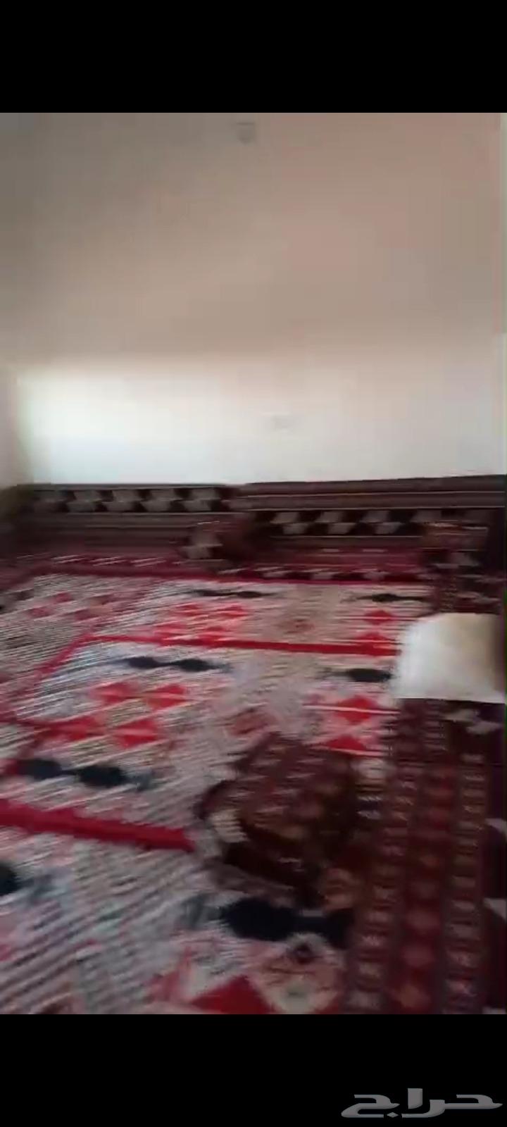 استراحه للايجار اوللبيع بام الجماجم فيها اشجار وبيرماء630064067334421123