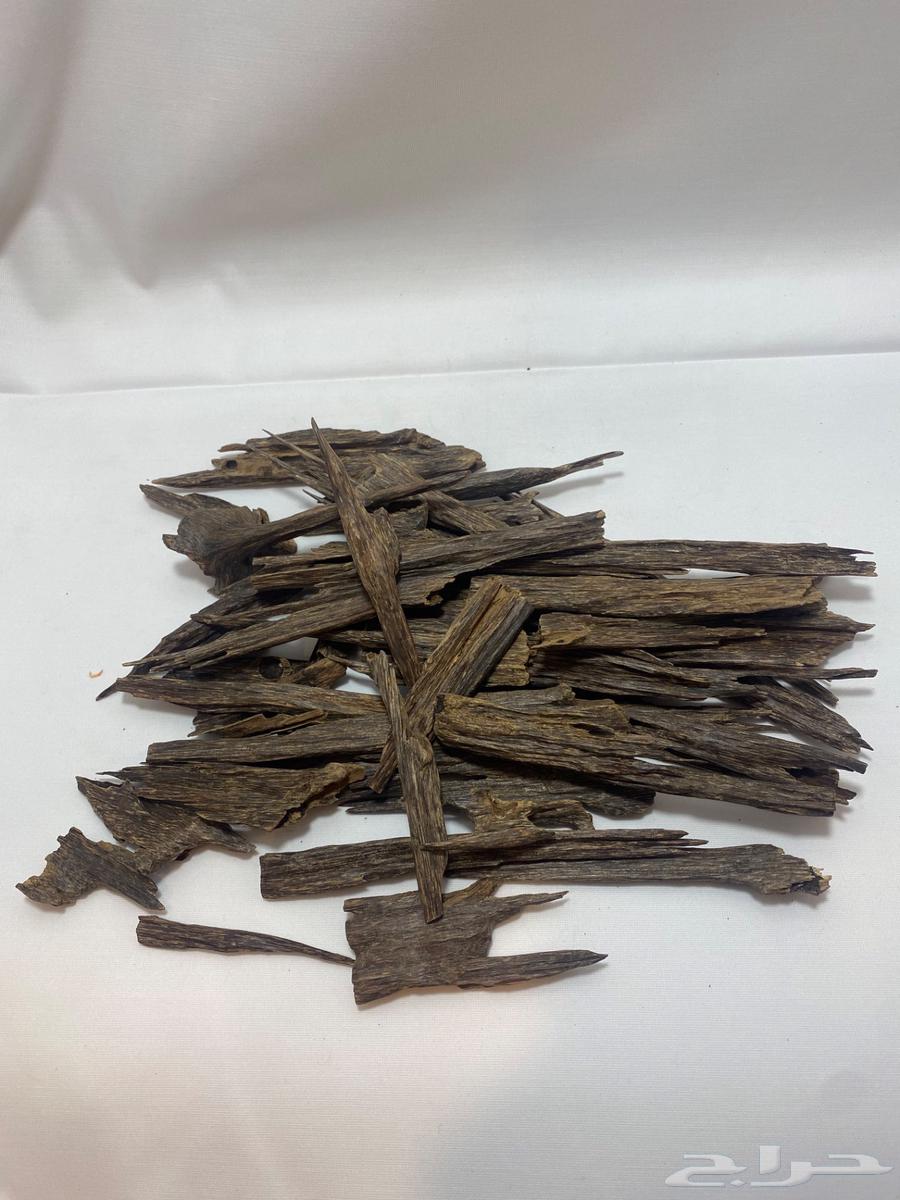 Indian Oud Double Superior63616163043843111