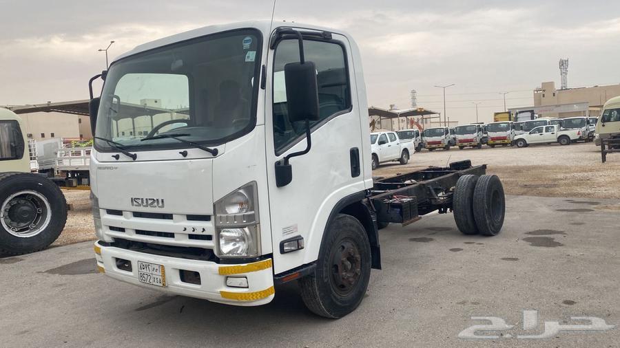 دينا ايسوزو63521705515393111