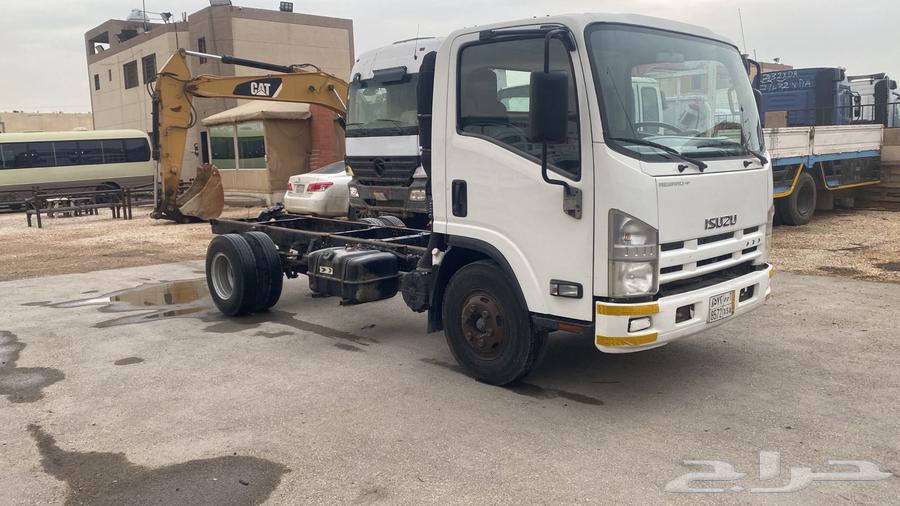 دينا ايسوزو63521705515393114