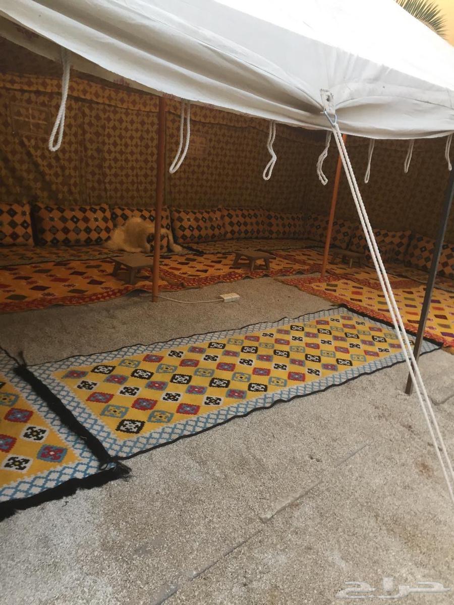 Two-pole tent for sale63290708919042113