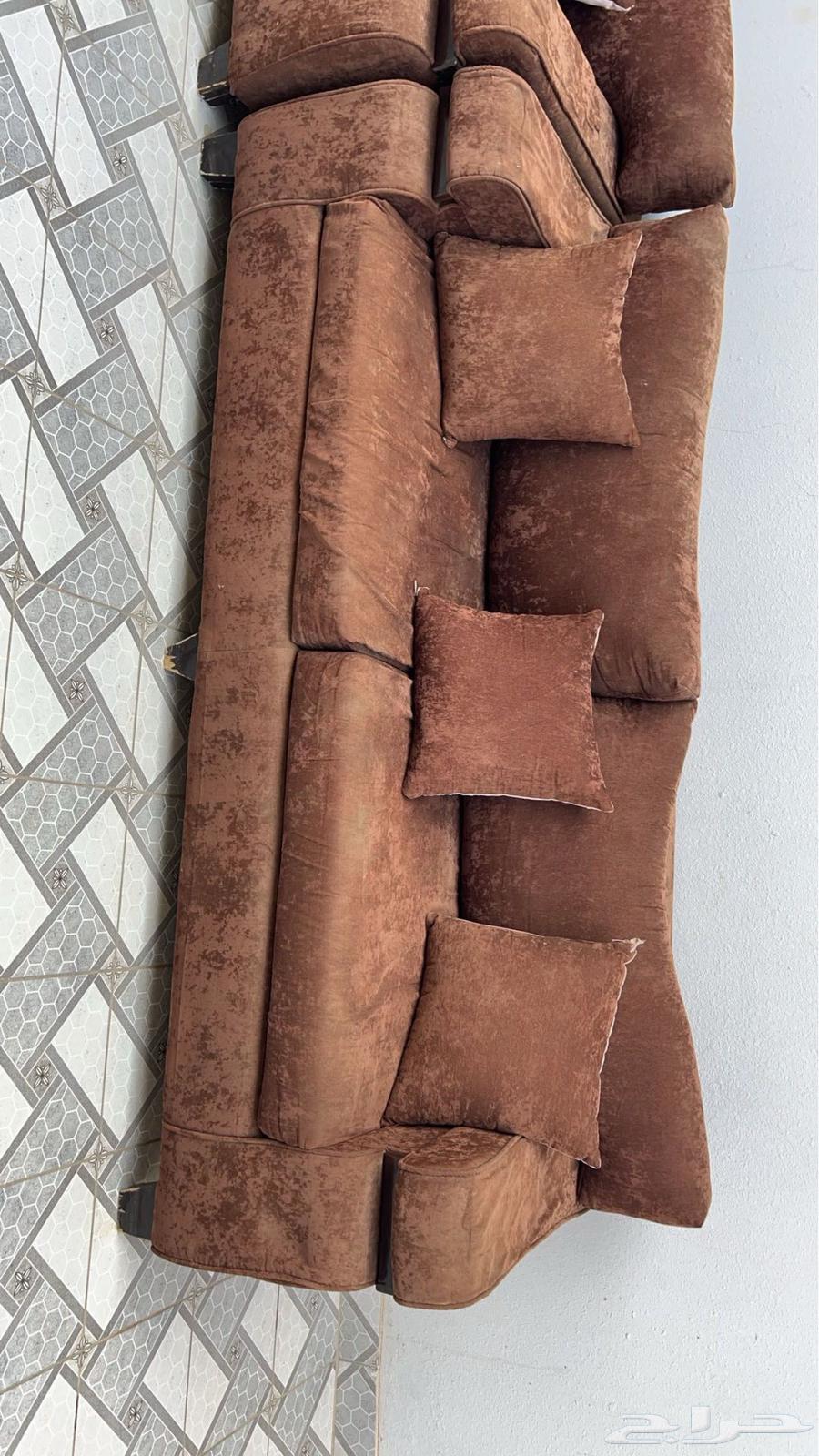 Sofa63616476410755112