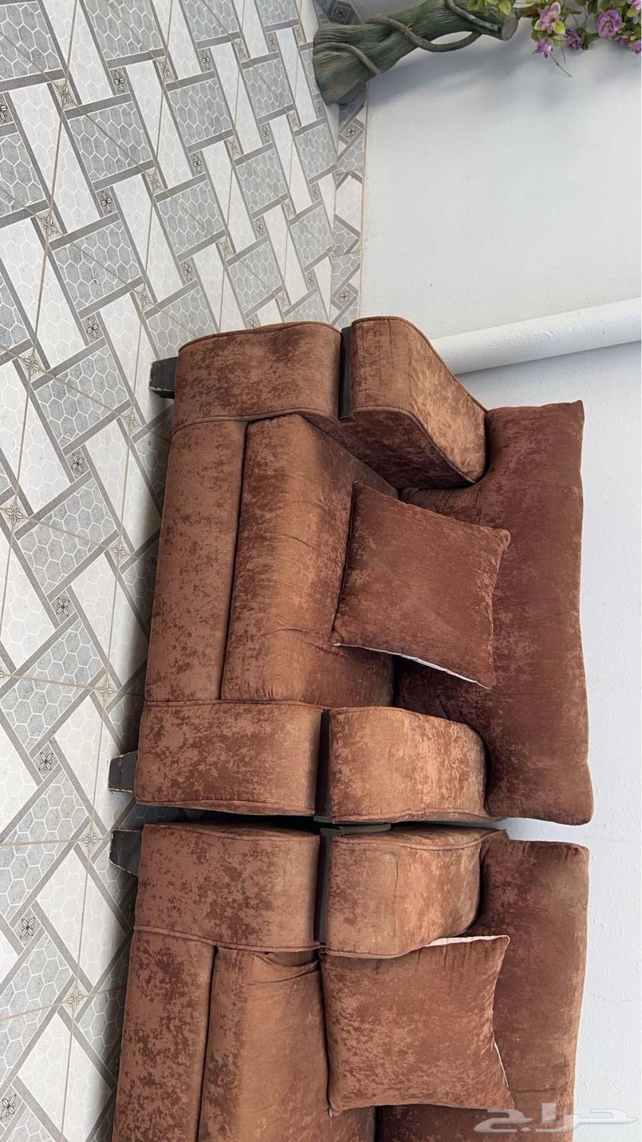 Sofa63616476410755111