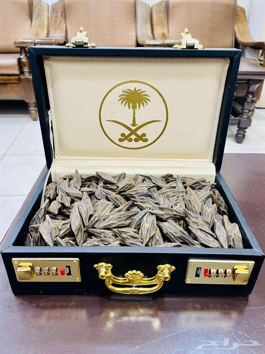 Tiger returns luxurious Vietnamese632766966776331115