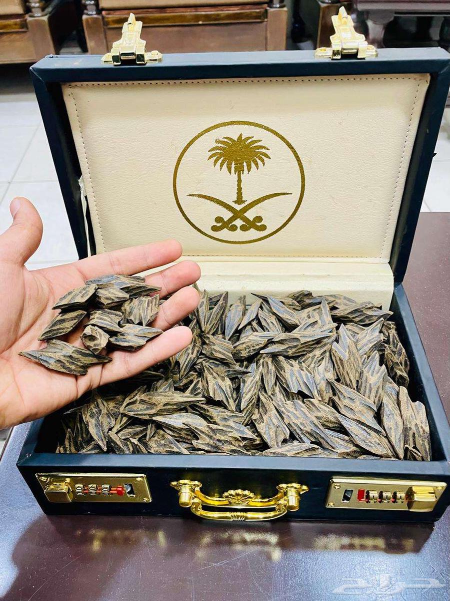 Tiger returns luxurious Vietnamese63276696677633112