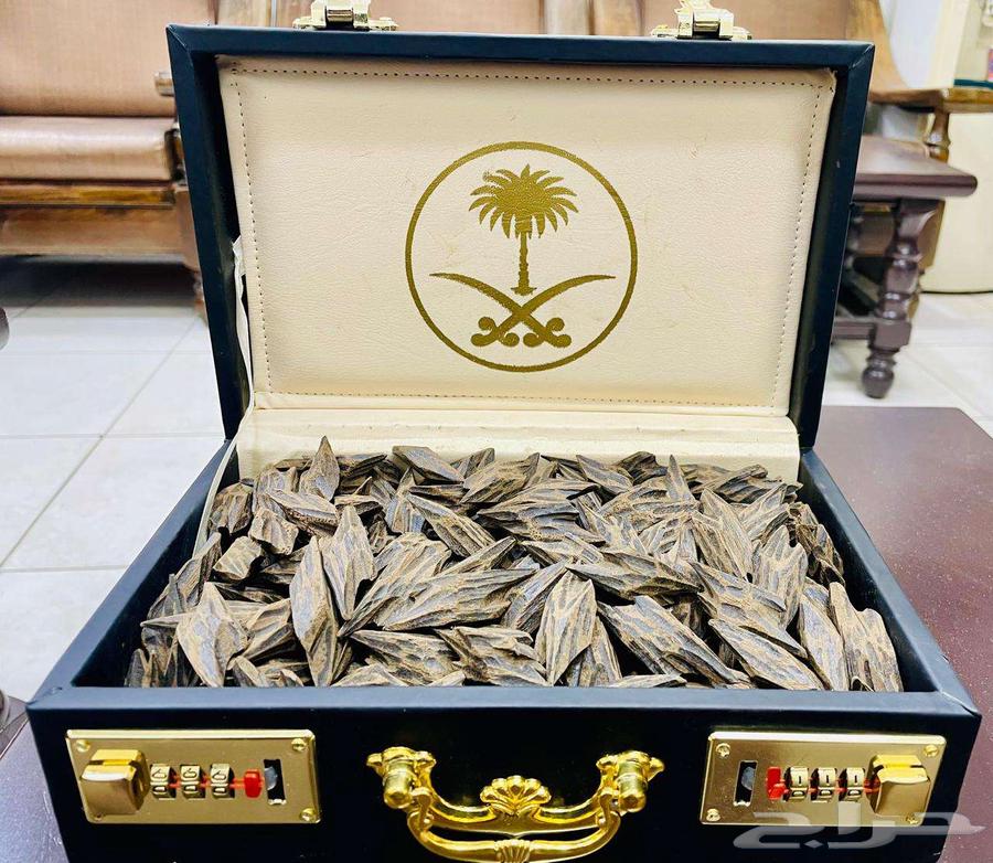 Tiger returns luxurious Vietnamese63276696677633111