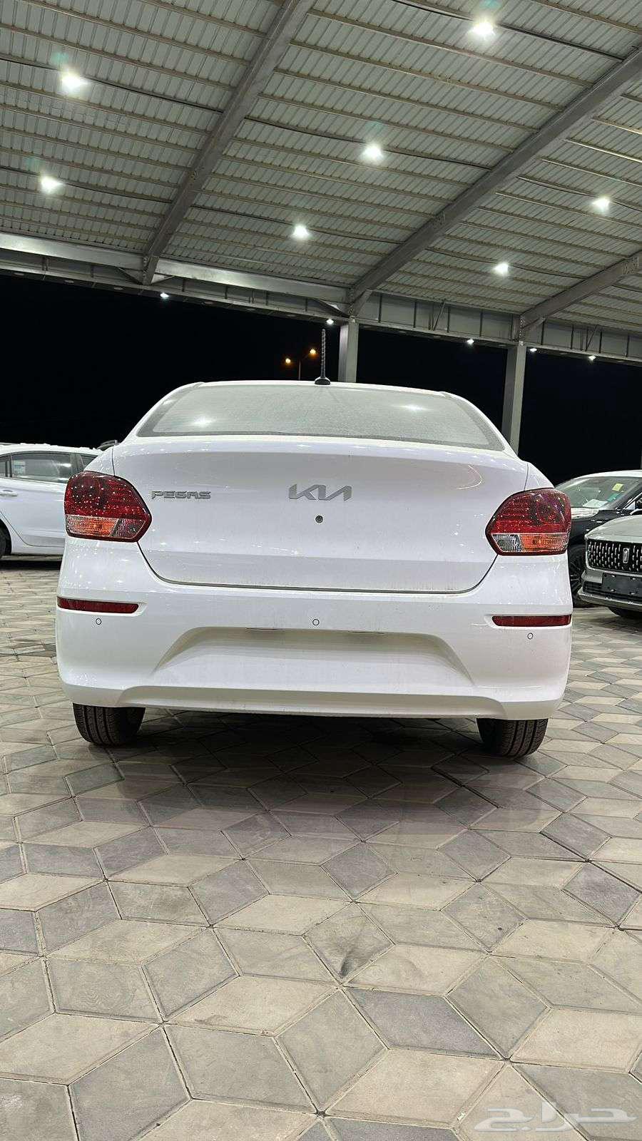 كيا بيجاس استاندر 2025 عروض خاصه شركات وموسسات63470227908993113