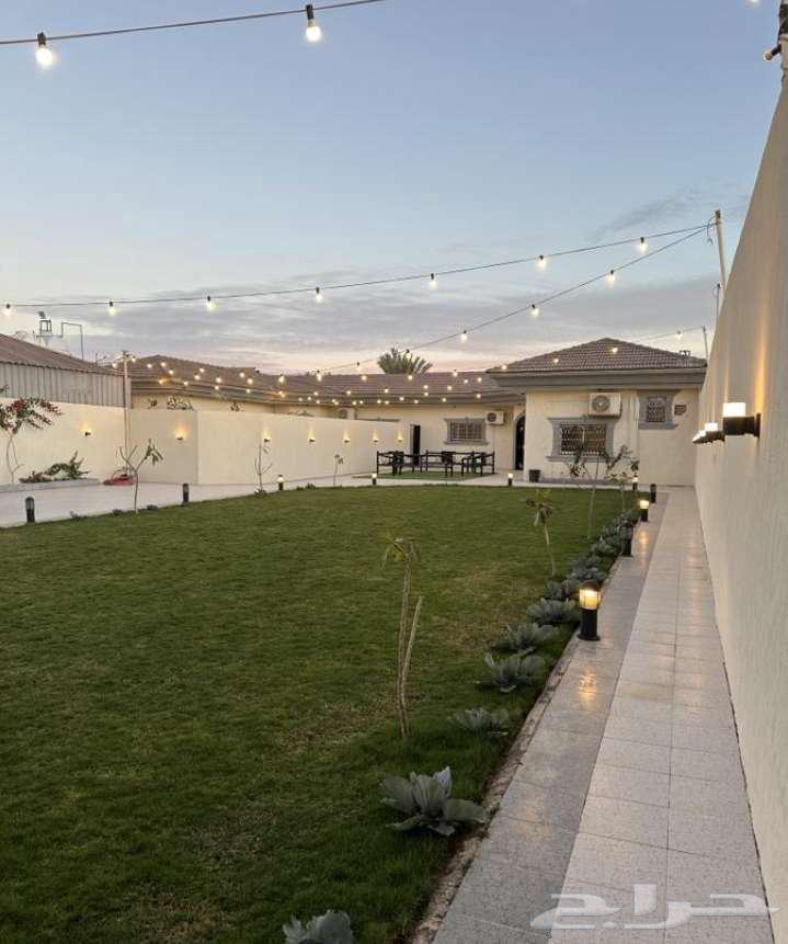 Agriculture and garden design63007341636354112
