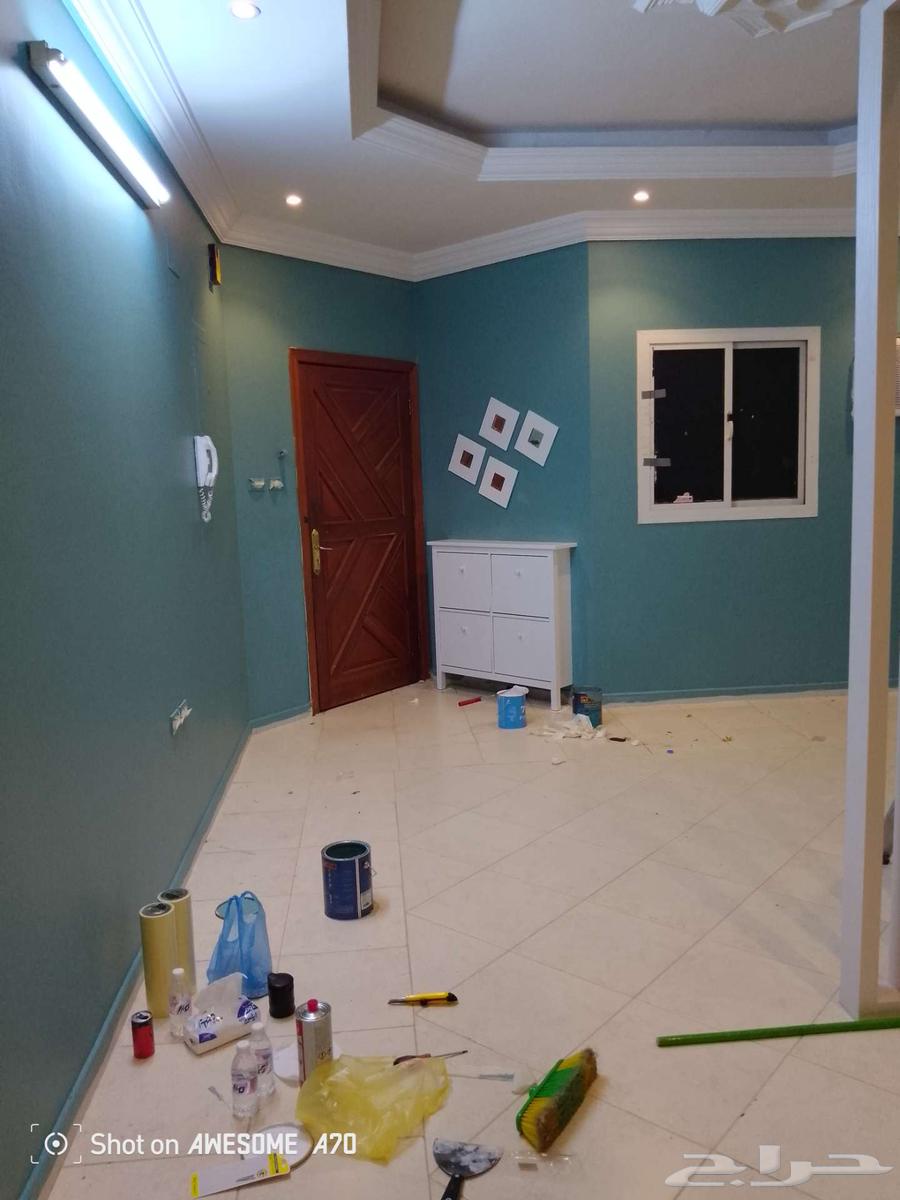 Paint teacher paint a lot teacher paints63007382265219112