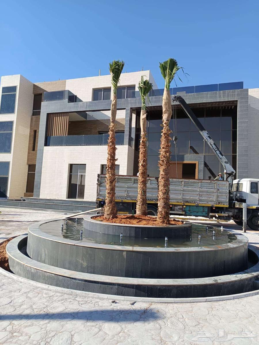 Agriculture and garden design63007341636354113