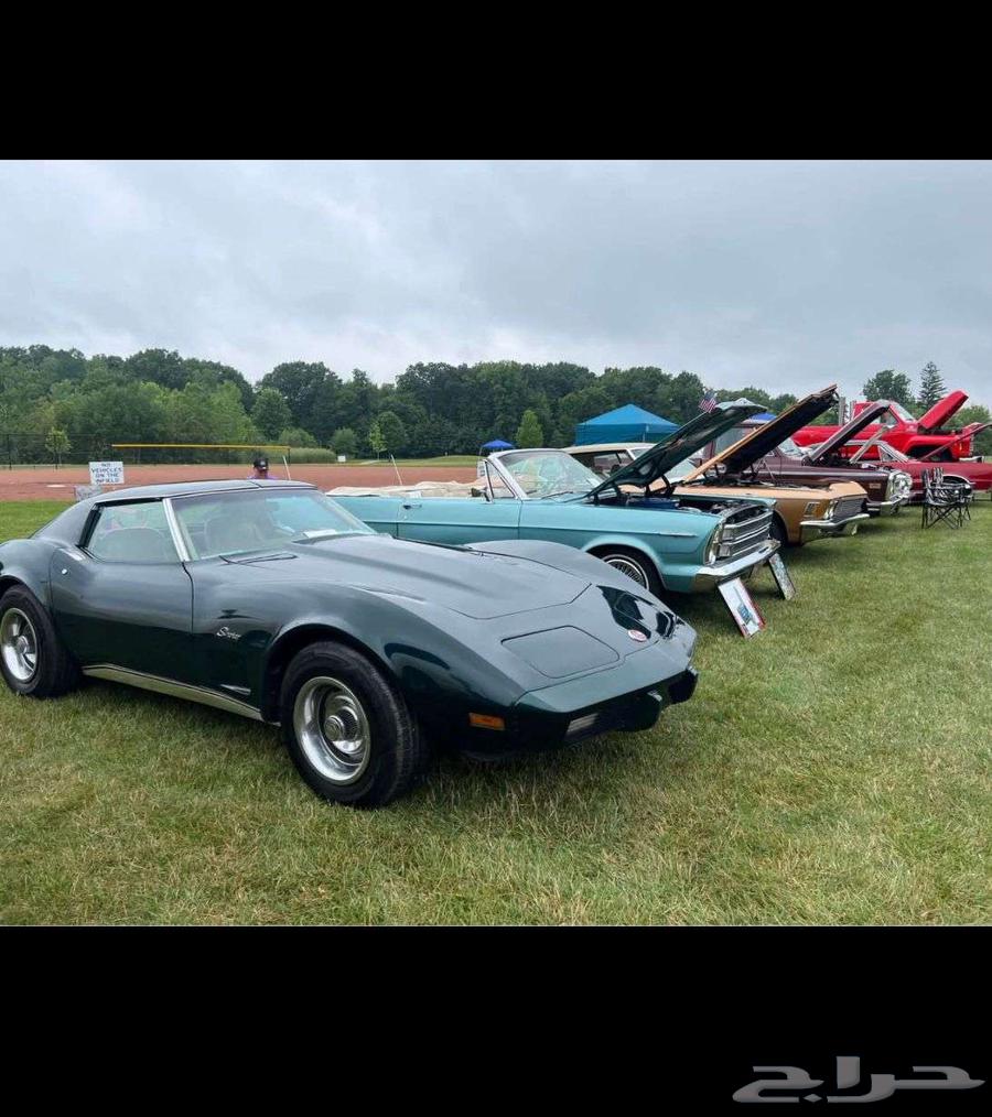 1976 Chevrolet Corvette Stingray Corvette ad 400163421299997571113