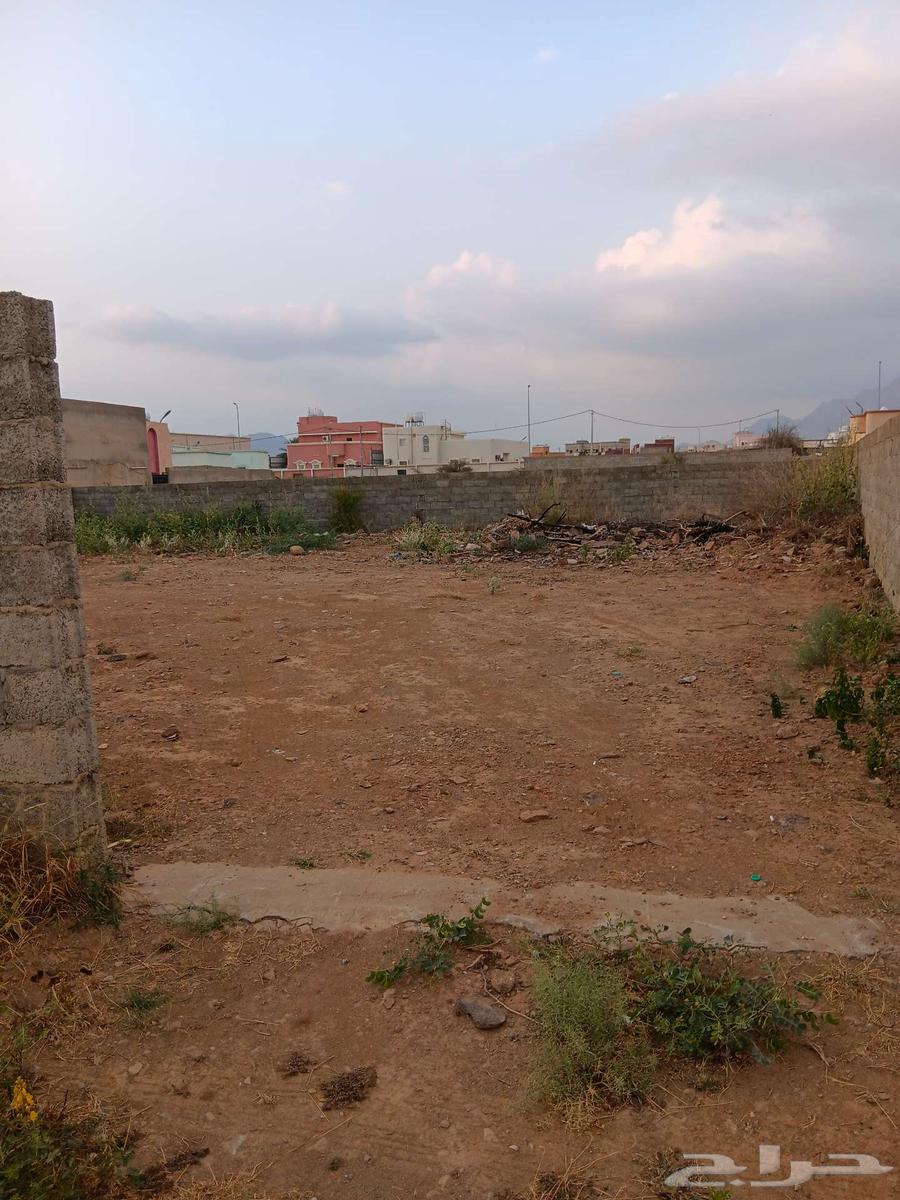 Land for sale in Mahayil Al-'Asir, Al-Salamah district62886380795393110