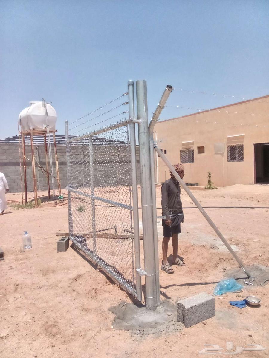 Supply and Export of Palm Trees63007845002881111