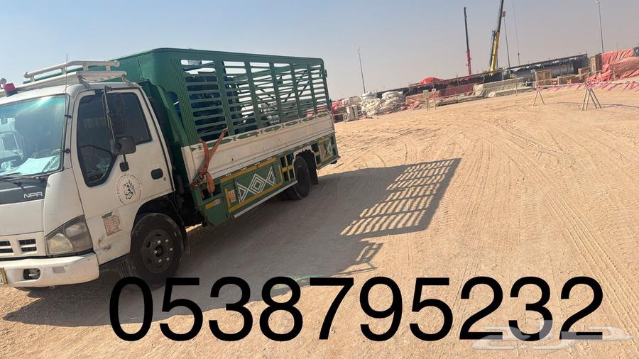 Dammam63024904550531111