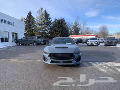 For sale Mustang GT Performance 202563412654633091111