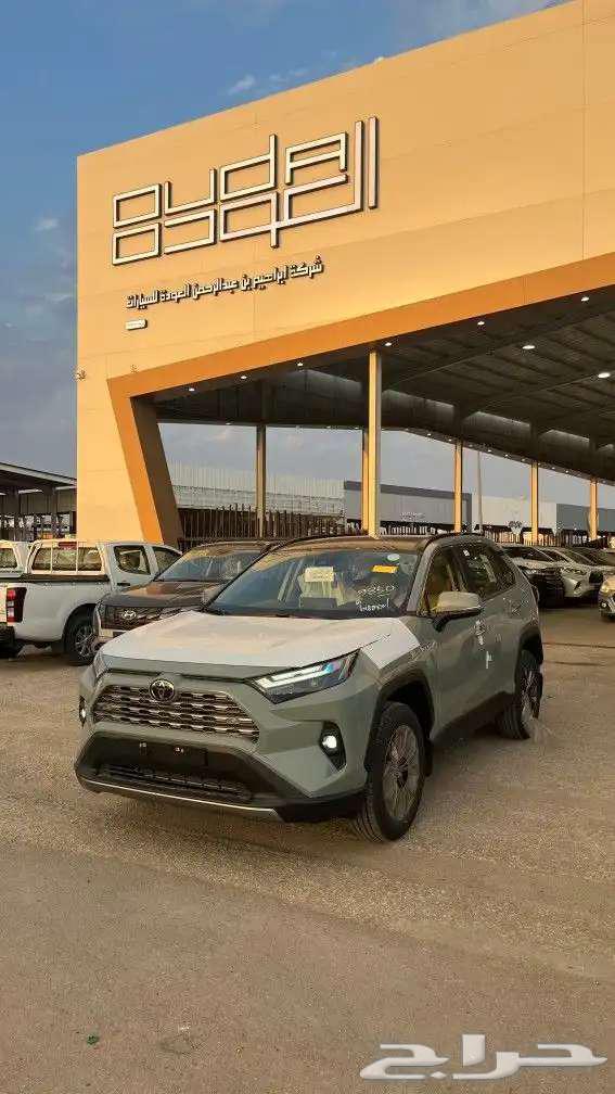 راف فور ليمتيد 202563408497530883111
