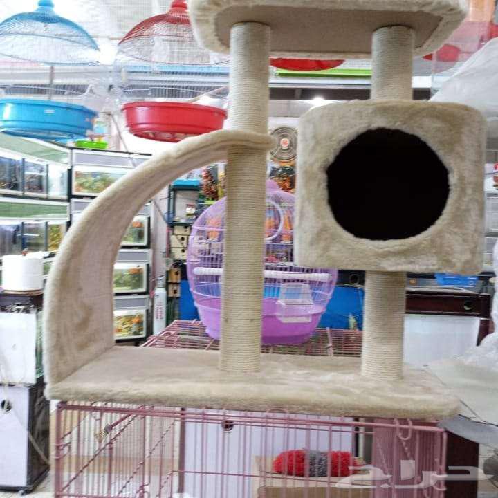 Fish tanks, pet animals and their accessories, cats, hamsters, and birds63248484100867112