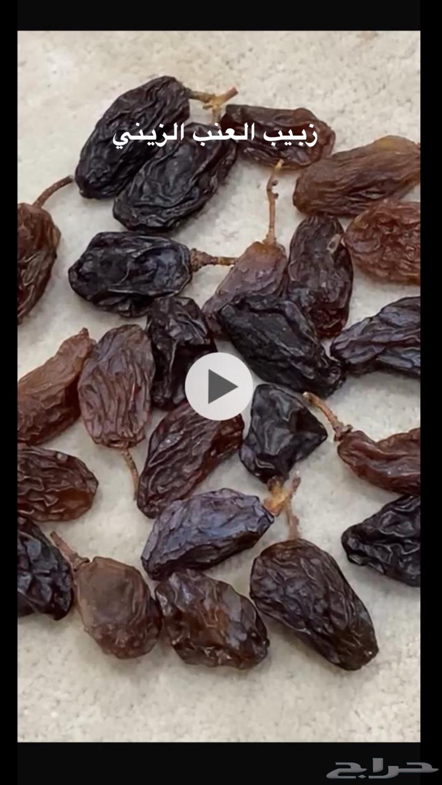 شتلات للبيع63247971003137114