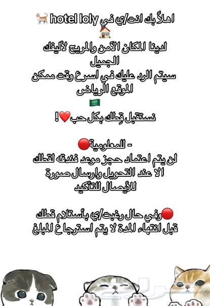 A cat hotel in southern Riyadh632474778368011124