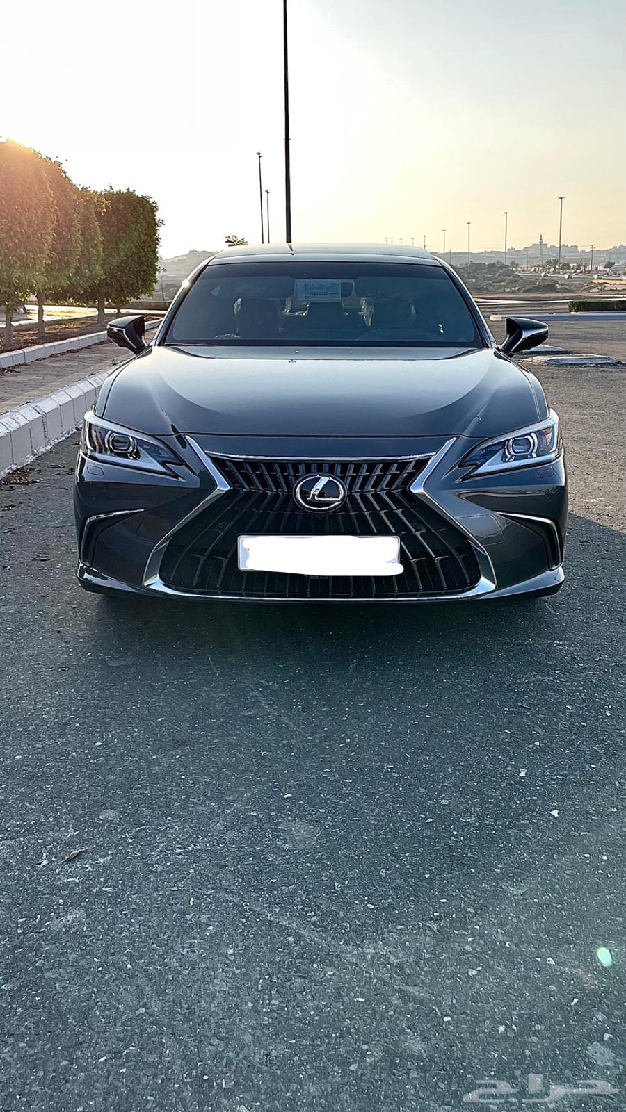 تم البيع ..63408695585154111