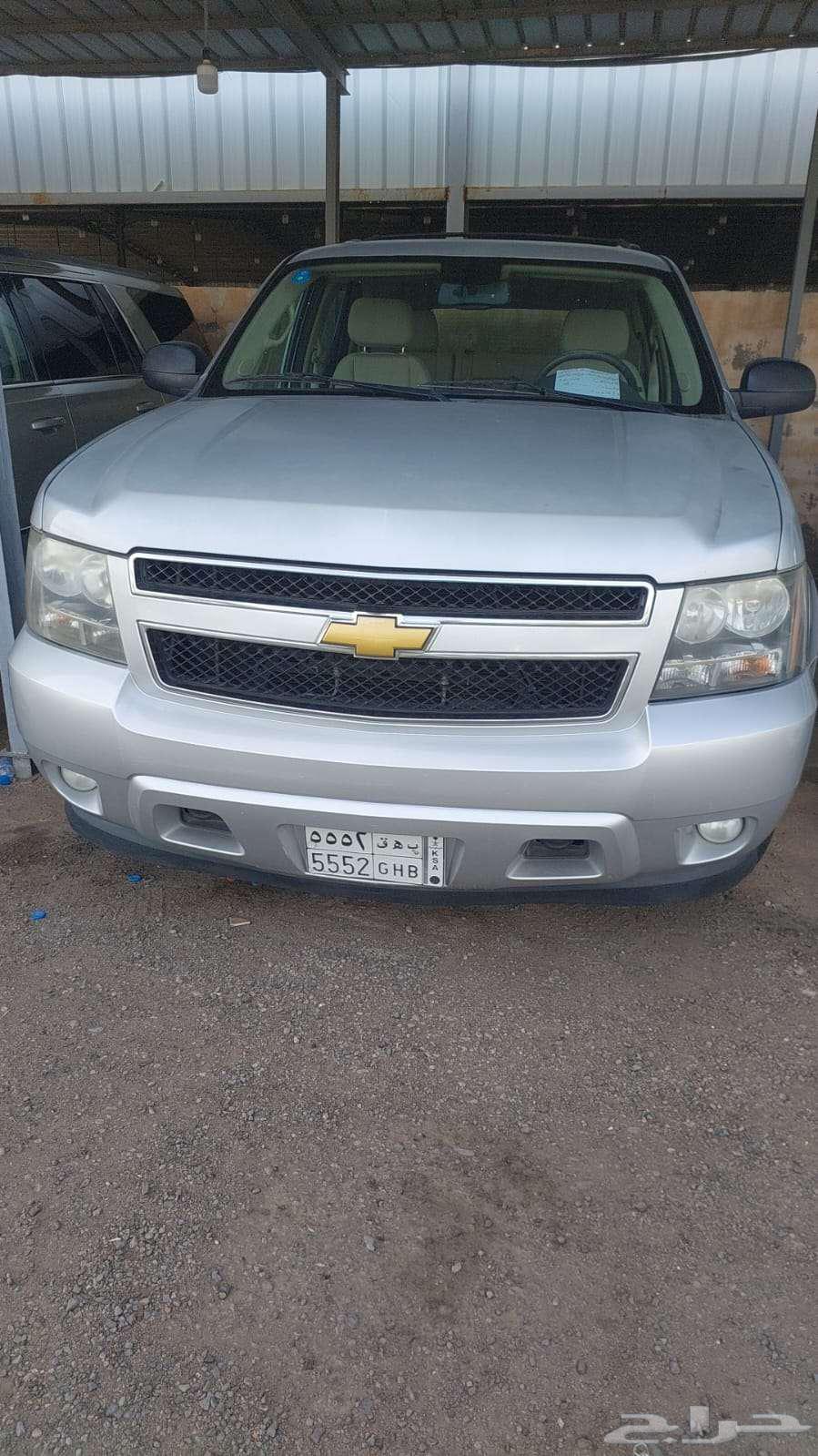 Taho 2013 LT short63368784942209113