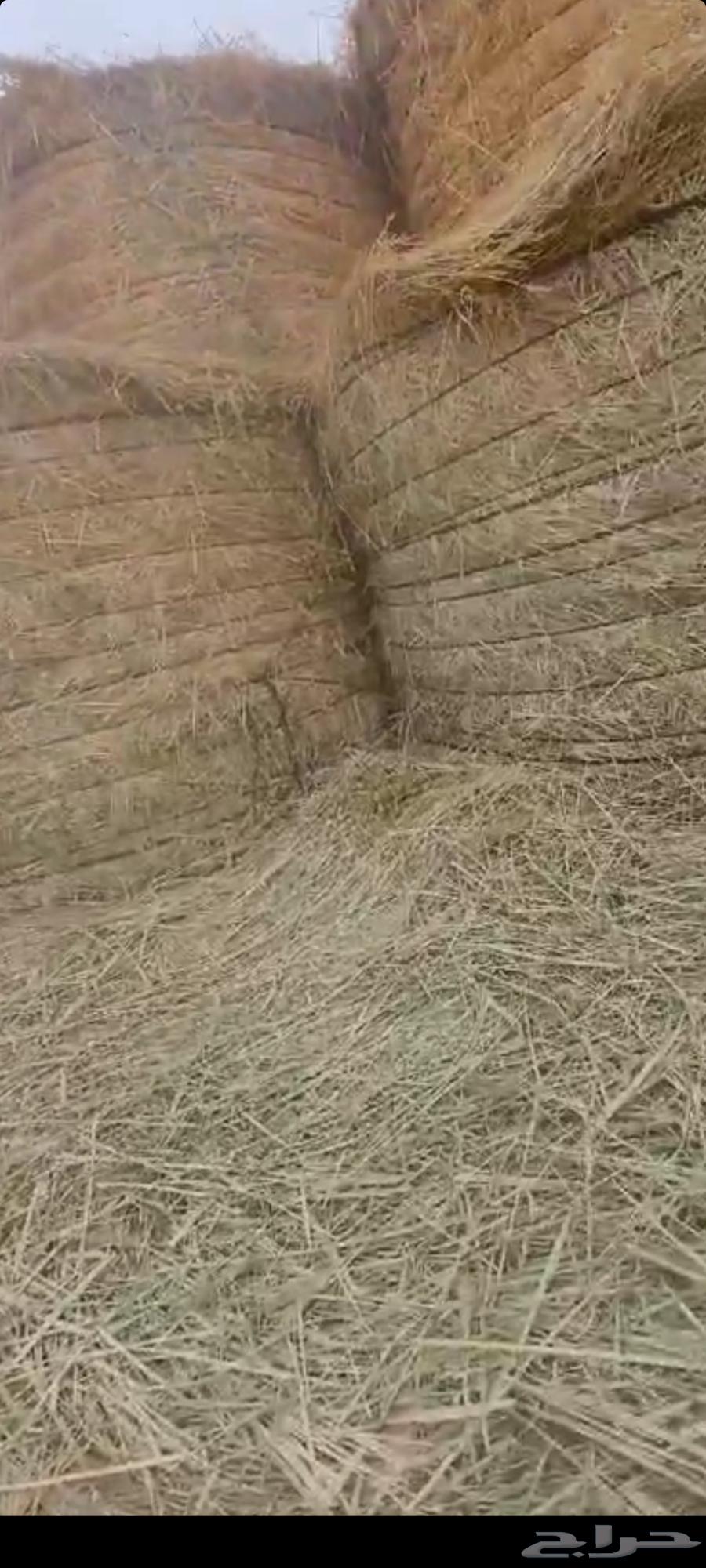 اللبيع لفات. رودس. نظيف. خاليه. من الأمطار. قطر 120الي 13063241875253250110