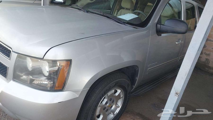 Taho 2013 LT short63368784942209114