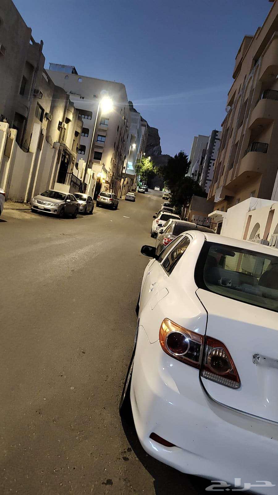 كوريلا63364955431938112