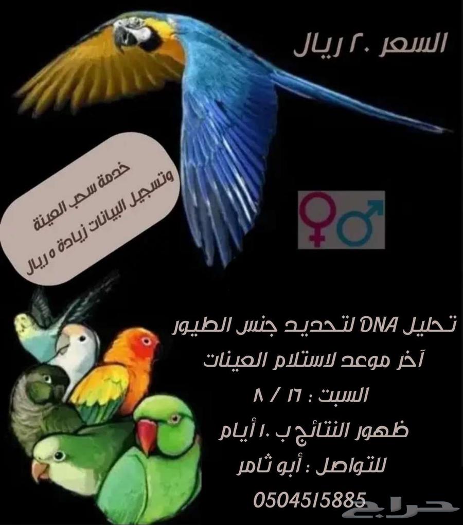تحليل DNA لجميع أنواع الطيور632363573671701128