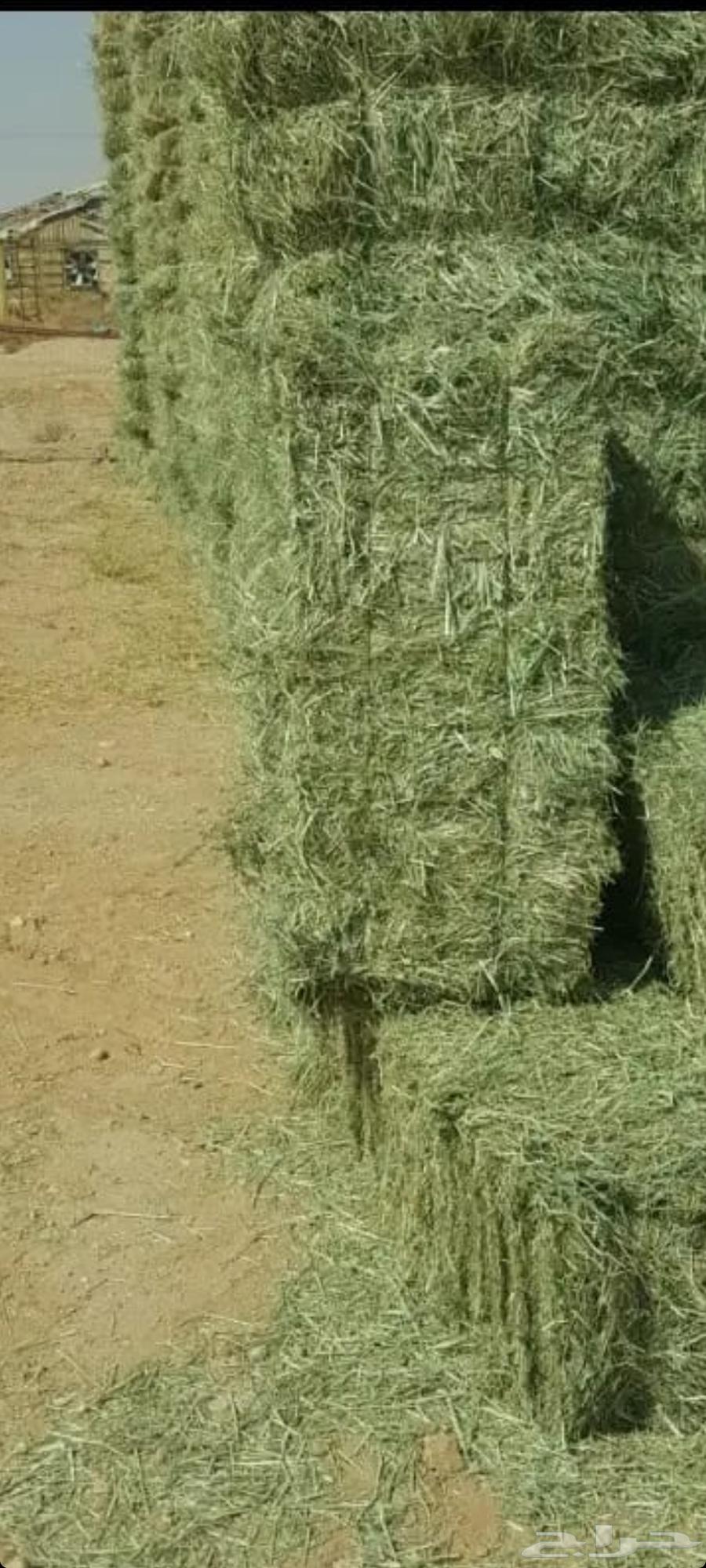 For sale. Feeds. Assorted. Rhodes grass. Corn cobs. Barley. New production63240389372033114
