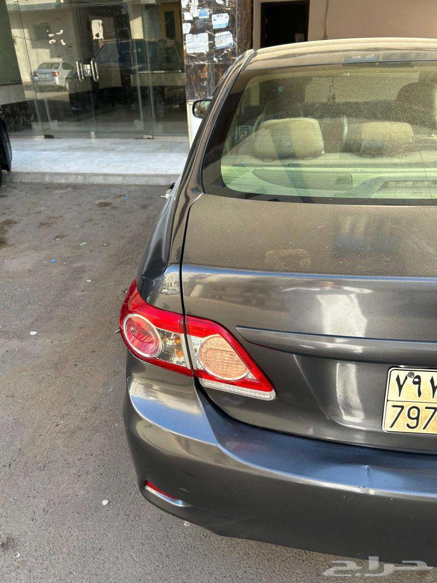 Madinah Munawwarah63356496517379113