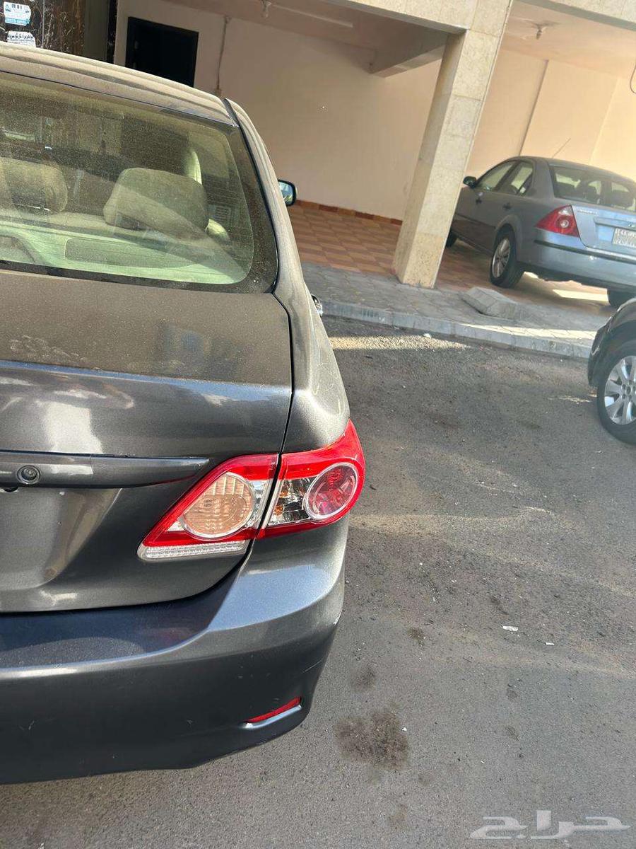 المدينة المنورة633564965173791129