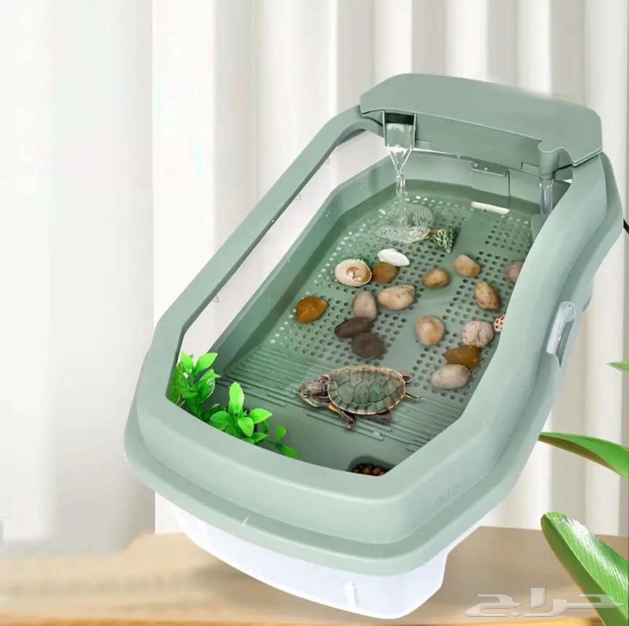 Turtle pool632353194055711116
