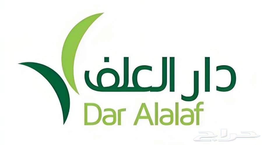 ذرة صفراء جملة - إنتاج تبوك 2024   202563530431777025111